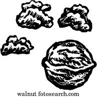 Walnut Stock Photos and Images. 70,047 walnut pictures and royalty free