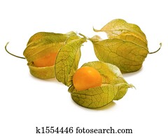 Chinese Lantern Stock Photo Images. 17,082 chinese lantern royalty free