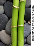 Bamboo stick Stock Photos and Images. 12,286 bamboo stick pictures and