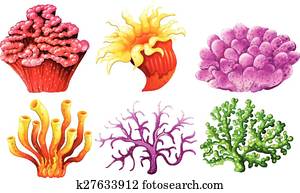 Clipart of Coral reef theme collection 1 k13244574 - Search Clip Art