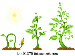 Seed Clip Art and Stock Illustrations. 8,825 seed EPS illustrations and