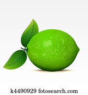 Lime Clip Art Royalty Free. 13,880 lime clipart vector EPS