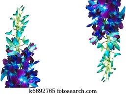 Purple Stock Photo Images. 774,601 purple royalty free images and photography available to buy