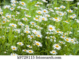 Farm scenes Images and Stock Photos. 122,857 farm scenes photography