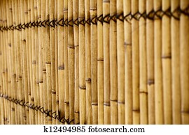 免版税(rf)类图片 - 亚洲的女孩, 在以前, 竹子, 栅栏