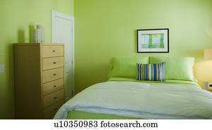 Lime green Images and Stock Photos. 73,924 lime green photography and