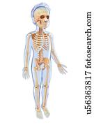 Children Health Clipart and Stock Illustrations. 4,264 children health