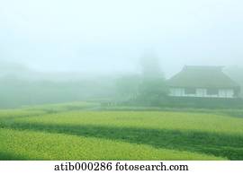 Traditionelle Japanisches Haus Stock Photo Bilder 4.911 traditionelle