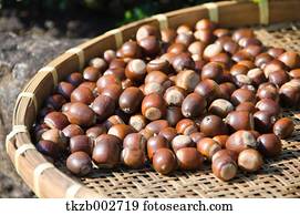 acorns stock price