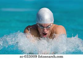 運動選手 競争 ために 平泳ぎ 水泳 ストローク ストックイメージ Sc Fotosearch