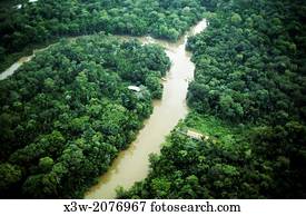 てんま船 輸送 Rainforest 木材を伐採する 上に アマゾン川 Amazonas 州 ブラジル 南アメリカ 画像コレクション Iblgab Fotosearch