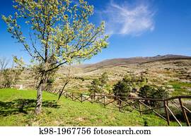 Cabezuela del Valle, Jerte Valley, Caceres, Extremadura, Spain, europe.