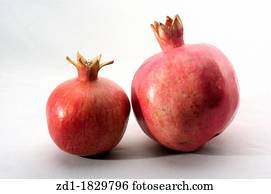 dois, pomegranates, ligado, um, branca, e, experiência cinza