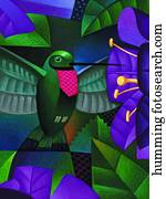 Hummingbird Hummingbird