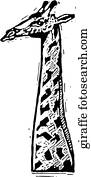 giraffe giraffe
