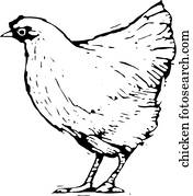 huhn huhn