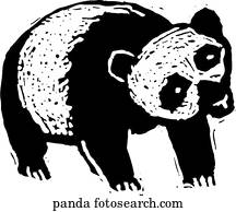 panda