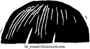 runder, haar runder, haar