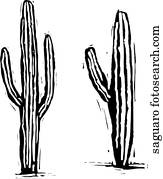 Cactus Vectors | Our Top 1000+ Cactus Clip Art | Fotosearch