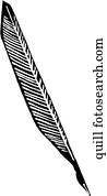 Quill