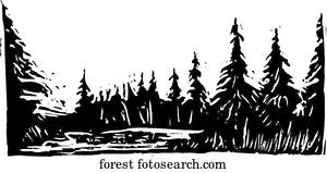 wald wald