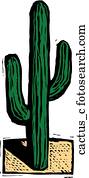 cacto