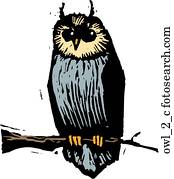 coruja, 2