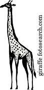 giraffe giraffe