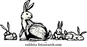kanninchen, familie kanninchen, familie