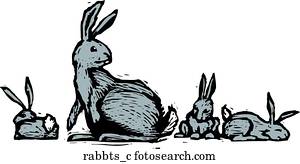 kanninchen, familie kanninchen, familie