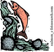 lachs lachs