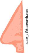 Nose