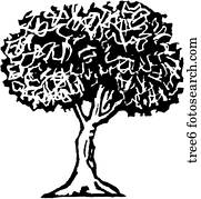 baum, 6 baum, 6