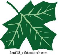 blatt, 12 blatt, 12