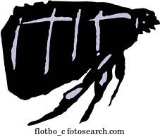 Float Boat Float Boat