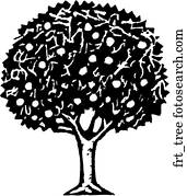 Fruit Tree Fruit Tree