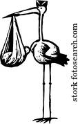 storch storch