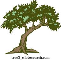 Tree 3 Tree 3