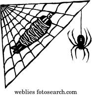 Web of Lies