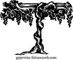 weinstock weinstock