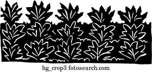 Stock Images of Tractors harvesting crop ks129996 - Search Stock