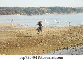 Girl running on beach in party dress