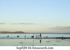 People at the shore at sunset