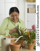 Senior Hispanic woman gardening indoors