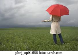 Rear view of woman holding umbrella in field