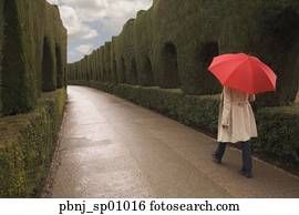 Rear view of woman walking with umbrella along hedged path