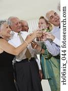 Senior couples toasting at party