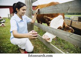 menina, segurando, maçã, para, vaca