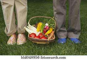 Basket of vegetables between senior Asian couple Basket of vegetables between senior Asian couple