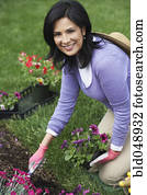 Hispanic woman gardening